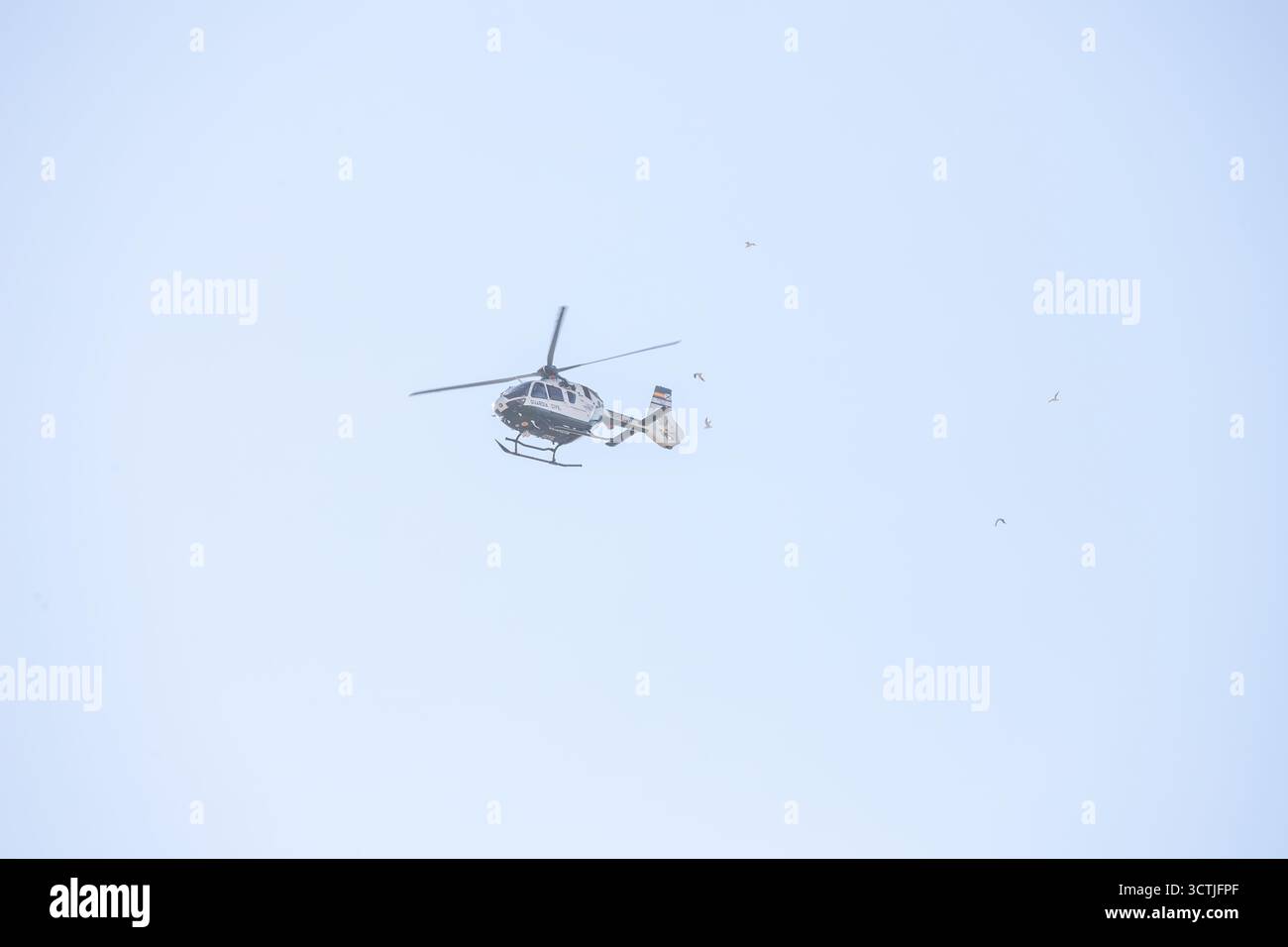 Madrid, Espagne, 7 octobre 2025 : un H135 de la Garde civile volant entouré d'oiseaux lors de la répétition de l'Armée de l'Air pour la fête nationale 25, le 7 octobre 2025, à Madrid, Espagne. Crédit : Alberto Brevers / Alamy Live News. Banque D'Images