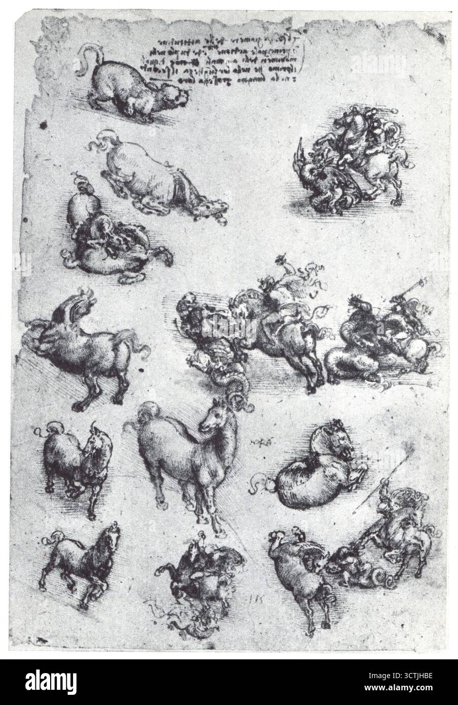 LEONARDO DA VINCI.Etudes pour un St Georges et le Dragon.1507-1508 Banque D'Images