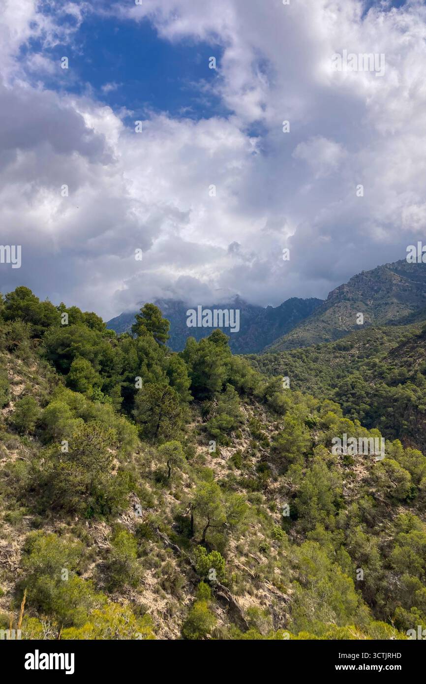 Vue panoramique sur les montagnes environnantes et village pittoresque depuis un sentier de randonnée le long d'un vieux fossé d'irrigation à Frigiliana, Espagne. Banque D'Images