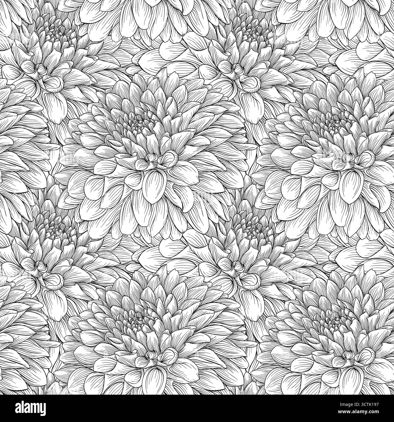 Beau fond monochrome sans couture dahlias noir et blanc dessiné à la main. Conception pour cartes de voeux et invitations de mariage, anniversaire, Saint-Valentin Illustration de Vecteur