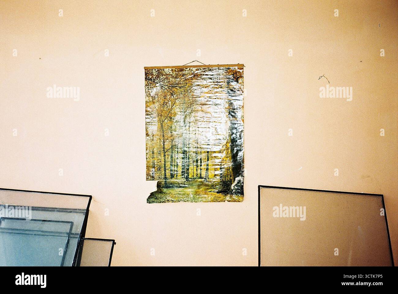Un mur jaune à l'intérieur d'une usine abandonnée tient une grande affiche ancienne d'une forêt d'automne, avec des vitres de cadres enlevés penchés en dessous. Abattez ana Banque D'Images