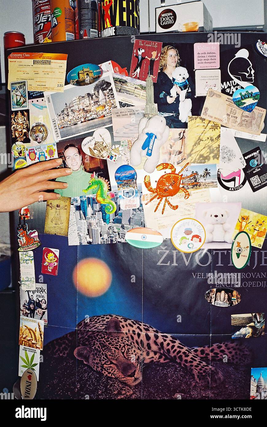 Prise de vue flash analogique d’une porte de réfrigérateur couverte d’aimants et de souvenirs, avec la main d’une femme pointant sur une photo. Banque D'Images