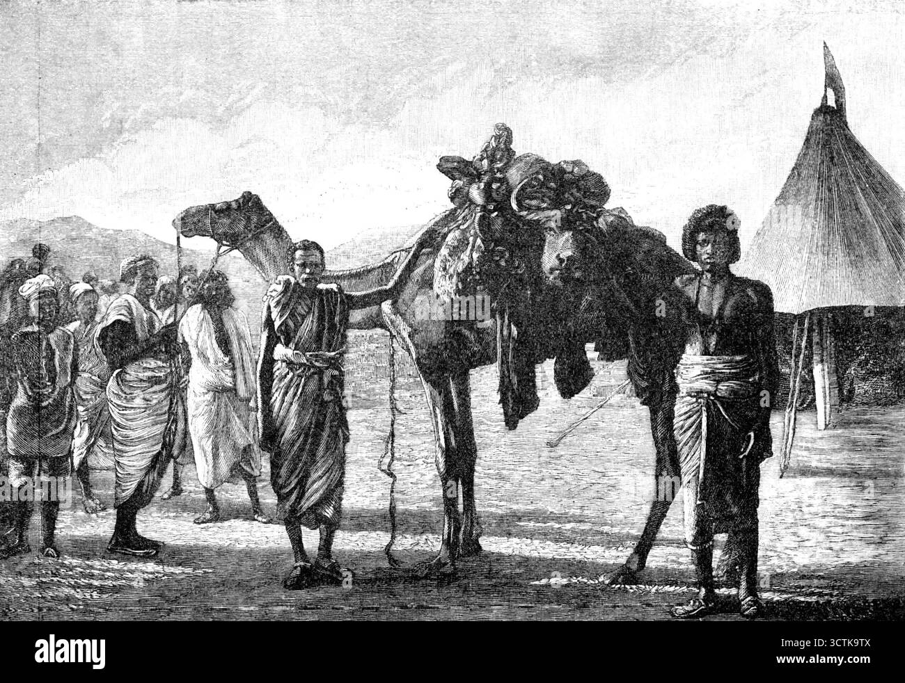 Illustrations de "The Wild Tribes of the Soudan", par Mr. F. L. James, F.R.G.S., Arrival of Meat in camp, 1883. 'Des livres sur le Soudan sont susceptibles d'être demandés tout à l'heure ; et nous pouvons en recommander... un publié par Mr. Murray cette semaine, à partir duquel nous sommes autorisés à emprunter quatre illustrations. L'auteur... a passé quatre mois, de décembre à avril 1882, dans une expédition sportive d'Afrique de l'est... la race Basé ; ou Kunama, habitant plus haut le Khor el Gash vers l'Abyssinie, ont été moins connues ; et le récit de M.R. James à leur sujet est d'une certaine valeur. Pour cette raison, ainsi que pour les anecdotes Banque D'Images