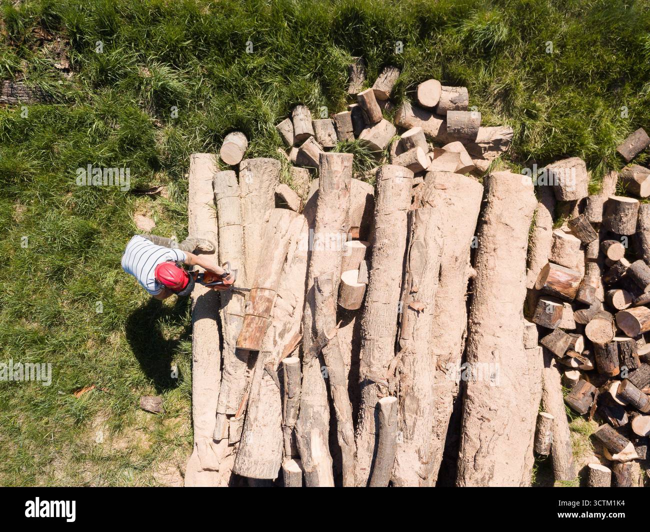 Bûcheron avec une tronçonneuse coupant des arbres dans la forêt. Préparation du bois de chauffage pour l'hiver. Vue de dessus. Vue aérienne depuis le drone Banque D'Images