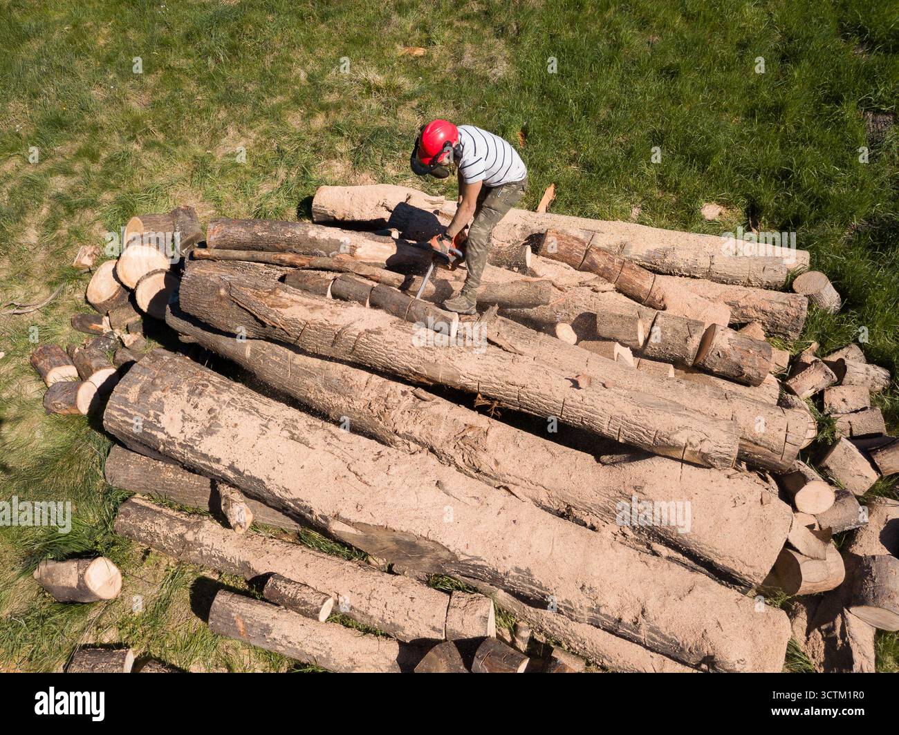 Bûcheron avec une tronçonneuse coupant des arbres dans la forêt. Préparation du bois de chauffage pour l'hiver. Vue de dessus. Vue aérienne depuis le drone Banque D'Images