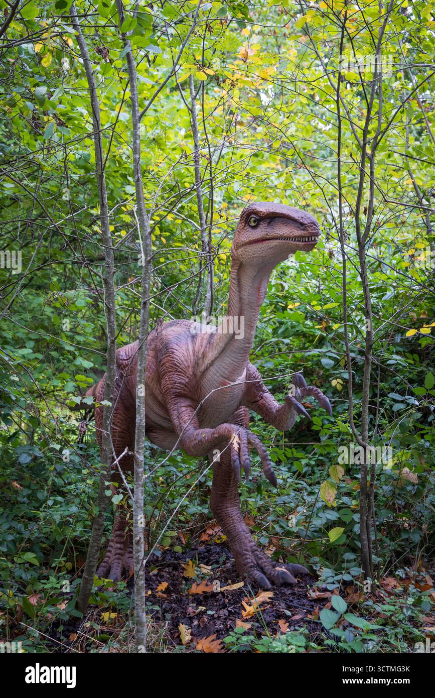 Arnhem, pays-Bas - 5 octobre 2025 : Portrait d'un dinosaure lors d'une exposition en plein air. Banque D'Images