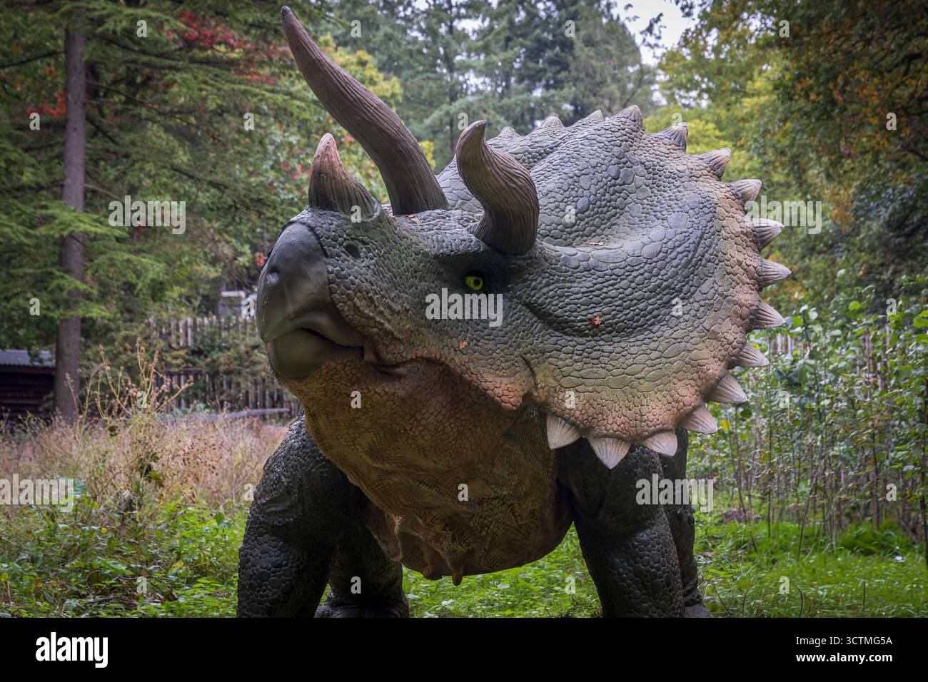 Arnhem, pays-Bas - 5 octobre 2025 : Portrait d'un dinosaure tricératops lors d'une exposition en plein air. Banque D'Images