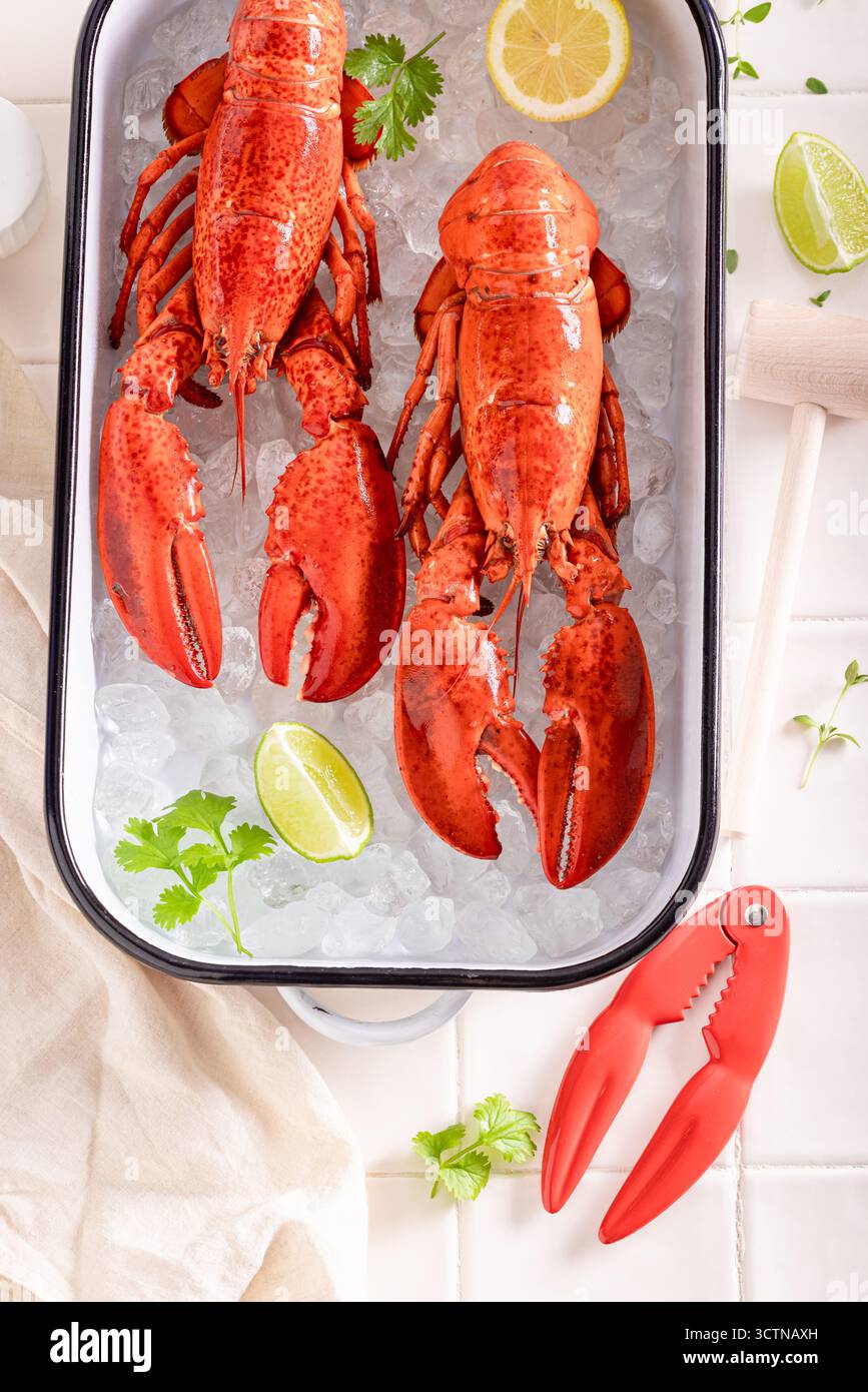 Homard cuit à la vapeur aromatisé aux agrumes, au beurre et aux herbes. Homard comme fruits de mer frais. Banque D'Images
