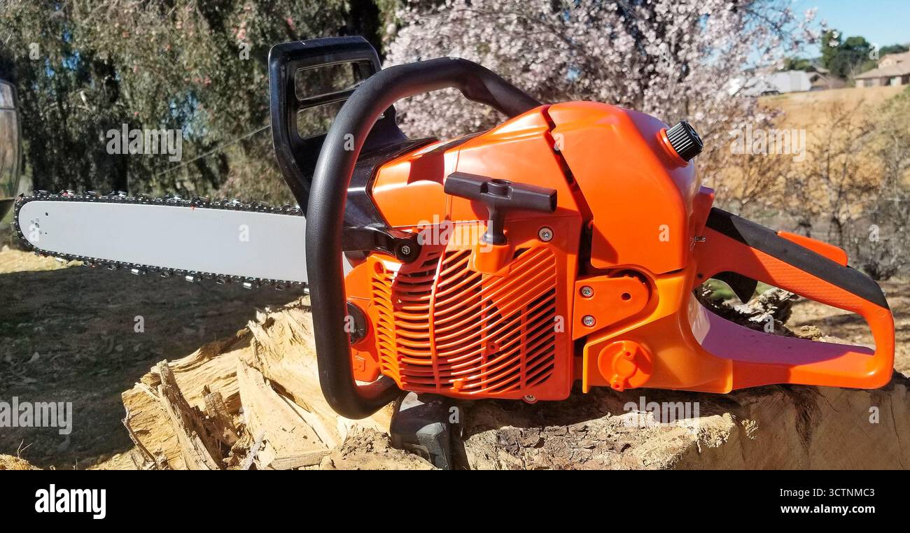 Tronçonneuse de couleur orange utilisée pour couper des arbres et du bois. Banque D'Images