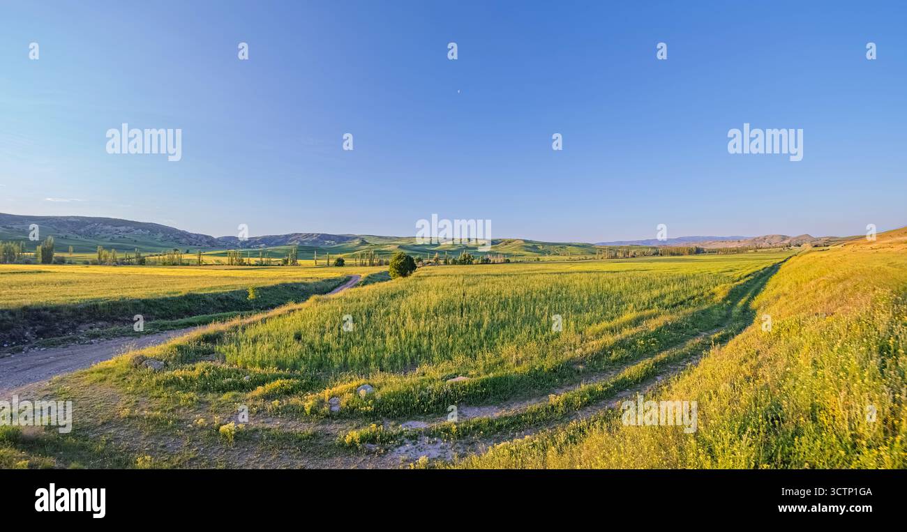 Un cliché fisheye capture de vastes champs verts s'étendant vers des collines lointaines sous un ciel bleu clair. L'image met en valeur le rural serein et ouvert Banque D'Images