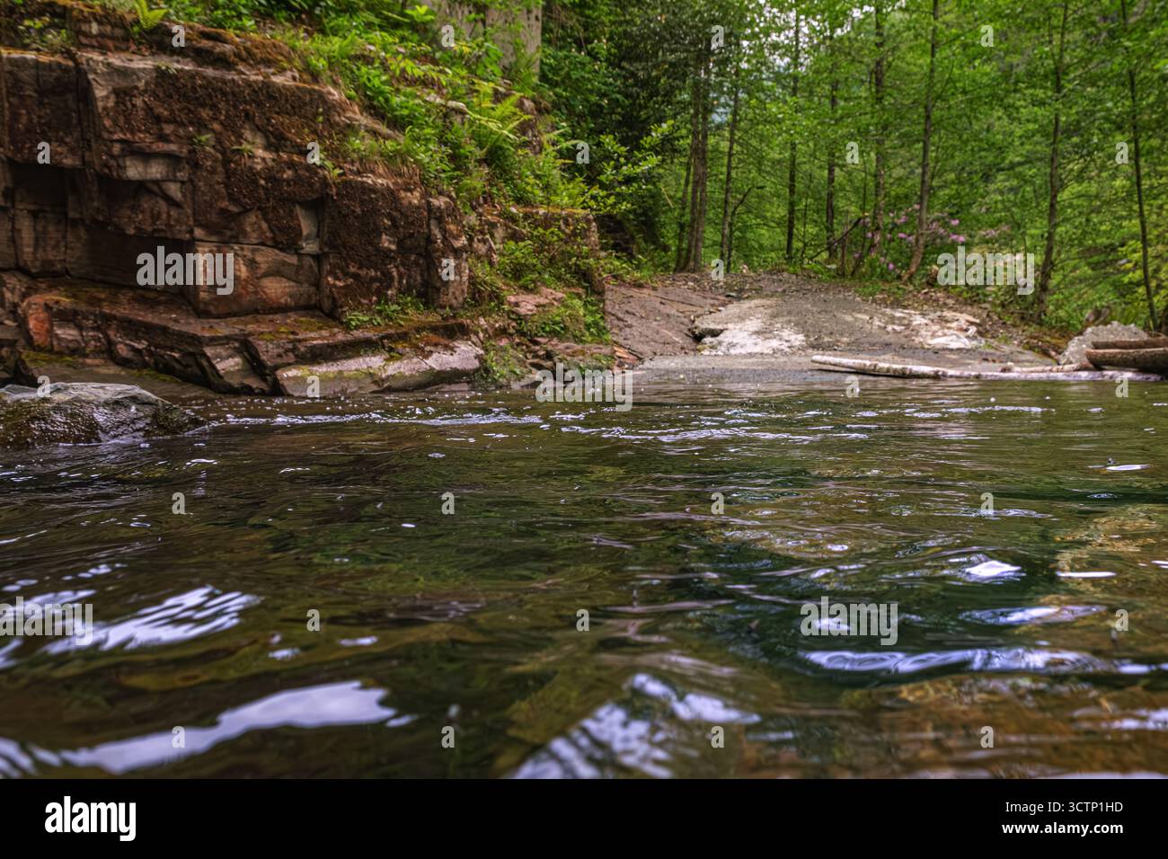 Un ruisseau paisible et peu profond coule doucement à côté d'un remblai rocheux couvert de mousse dans la forêt. Atmosphère naturelle idéale pour les visuels à thème écologique ou la nature b Banque D'Images