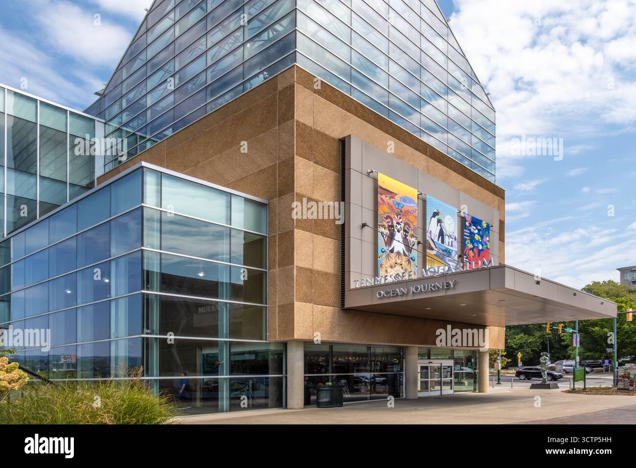 Ocean Journey, la zone de l'aquarium d'eau salée et compagnon de l'aquarium d'eau douce River Journey, à l'Aquarium du Tennessee à Chattanooga, TN. (ÉTATS-UNIS) Banque D'Images