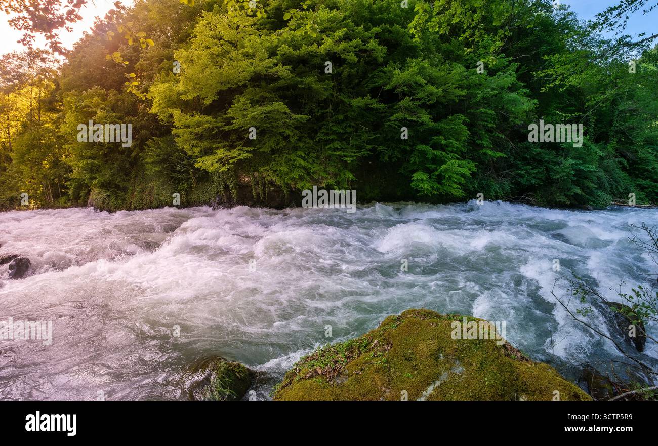 Le grand angle capture la puissance brute d'une rivière qui coule rapidement. Feuillage vert de la forêt environnante et la lueur chaude de la lumière du soleil filtrant à travers le Banque D'Images