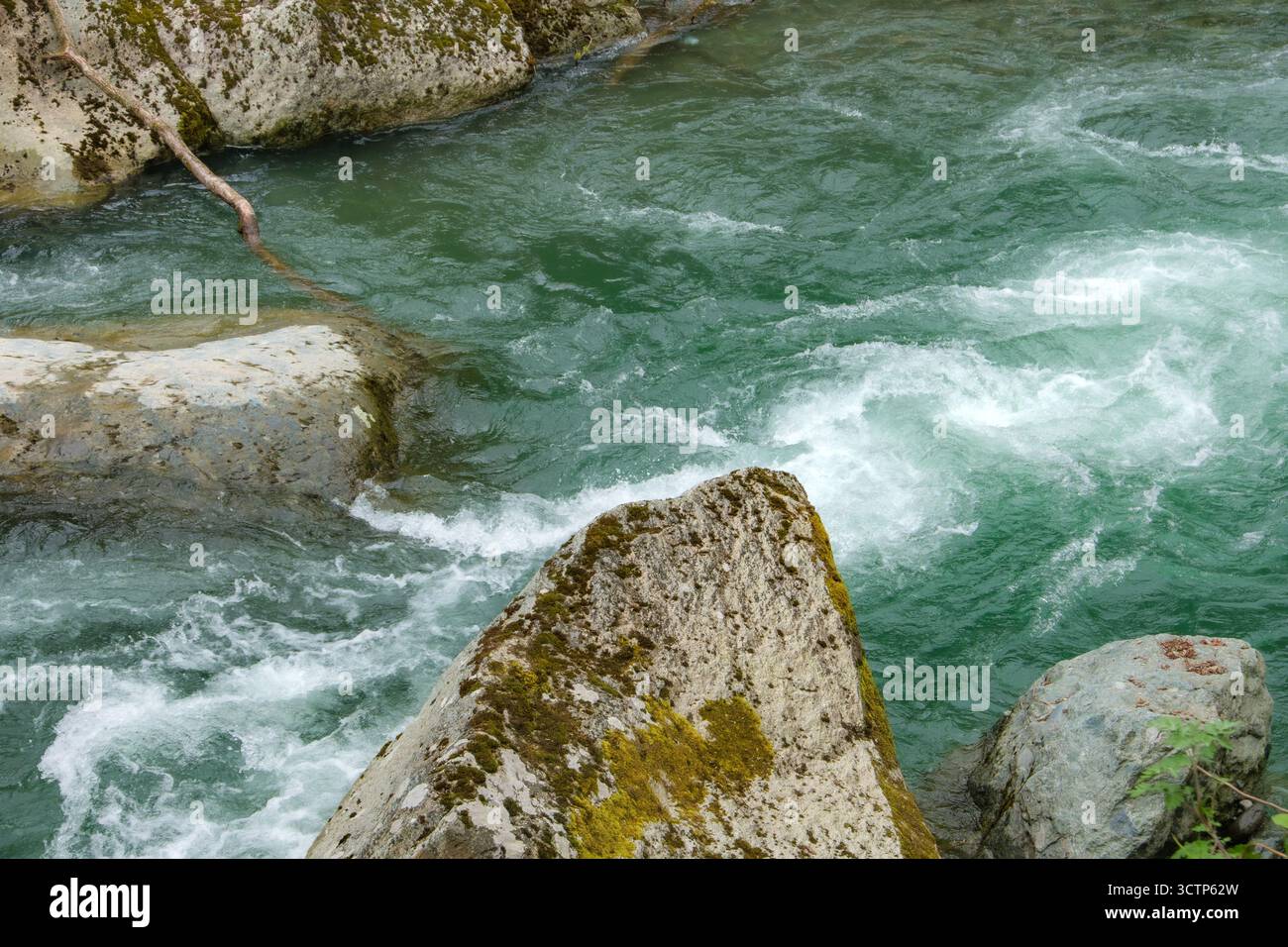 La rivière de montagne coule rapidement autour de grands rochers couverts de mousse. L'eau vert émeraude contraste magnifiquement avec les pierres texturées et le v environnant Banque D'Images
