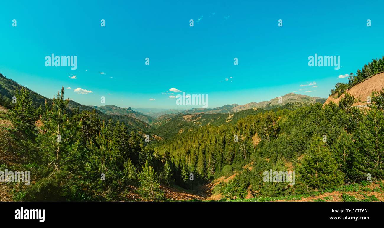 Vue panoramique sur une vallée verdoyante entourée de montagnes majestueuses sous un ciel bleu clair. Mettant en valeur la beauté de la nature et le paysage expansif Banque D'Images