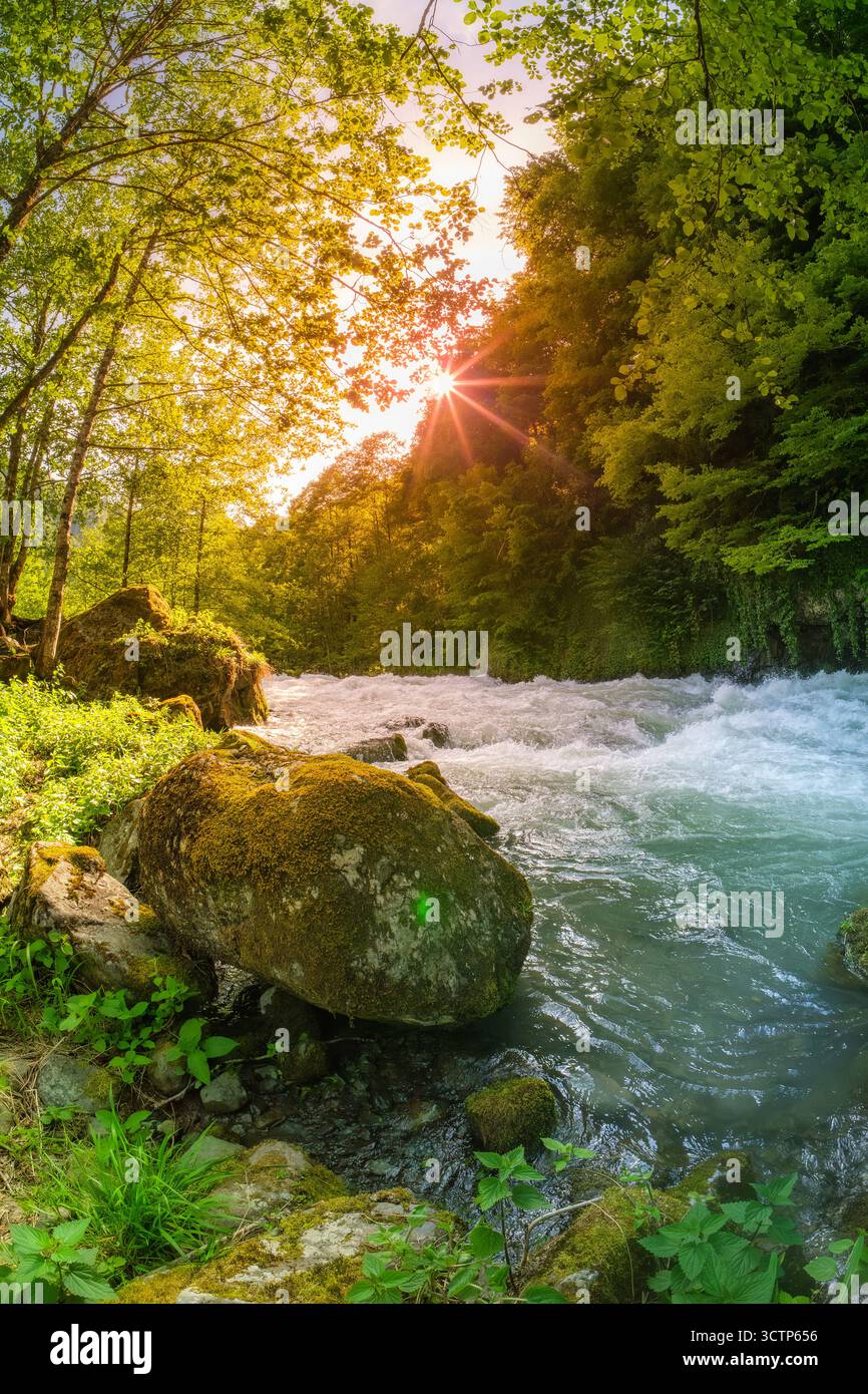 La sérénité de la rivière ensoleillée. Scène étonnante d'une rivière qui coule entouré de verdure luxuriante et d'arbres baignés de soleil avec la lumière du soleil filtrant à travers les feuilles. Banque D'Images