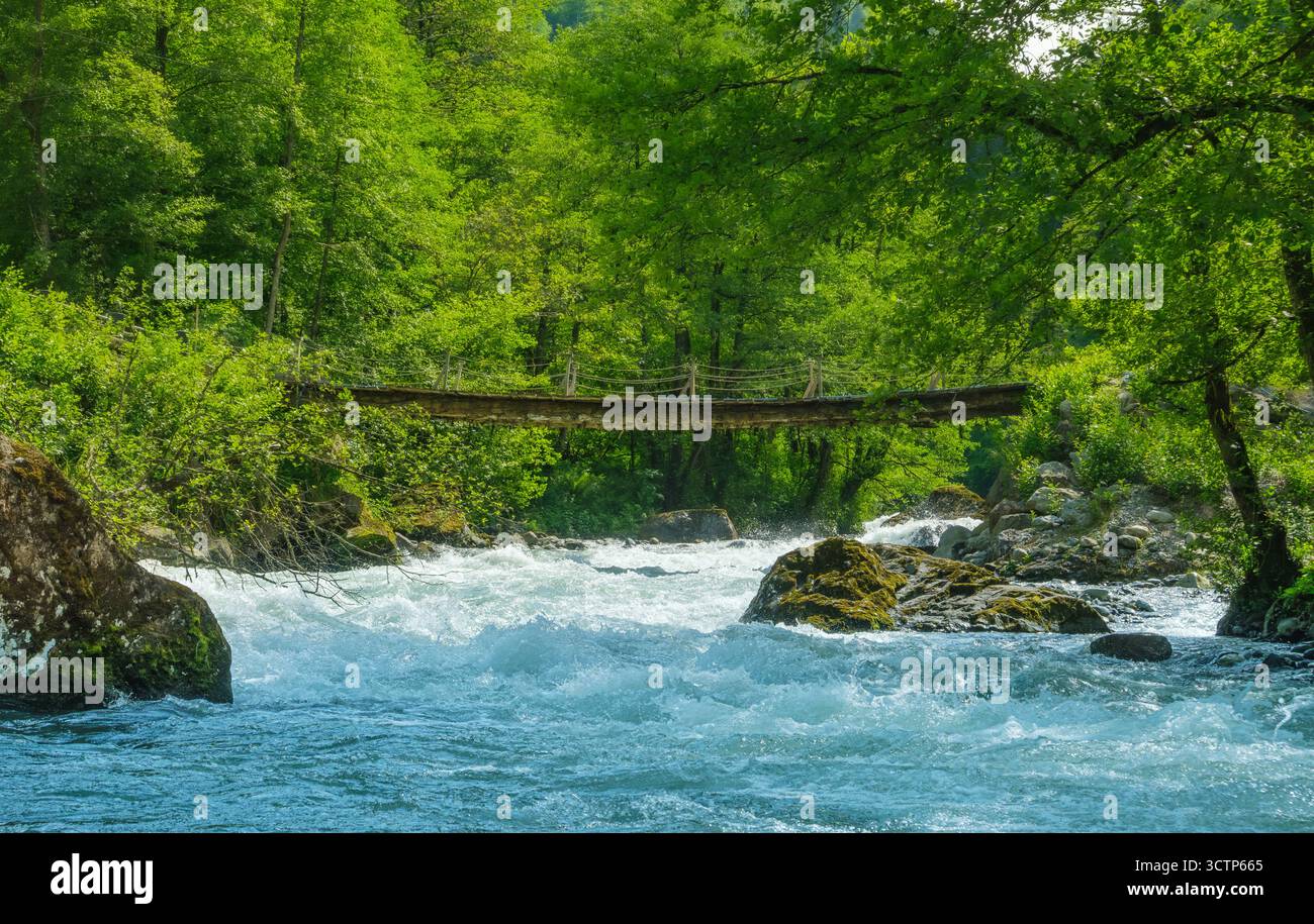Pont suspendu traditionnel en bois s'étendant sur un puissant. Le pont suspendu est encadré par une forêt verte. Rivière à débit rapide avec mousse blanche R Banque D'Images