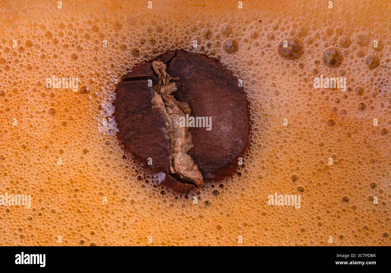 Photographie macro d'un grain de café torréfié reposant dans la crème dorée d'une dose d'espresso. Mise en évidence de fines bulles, tons bruns chauds Banque D'Images