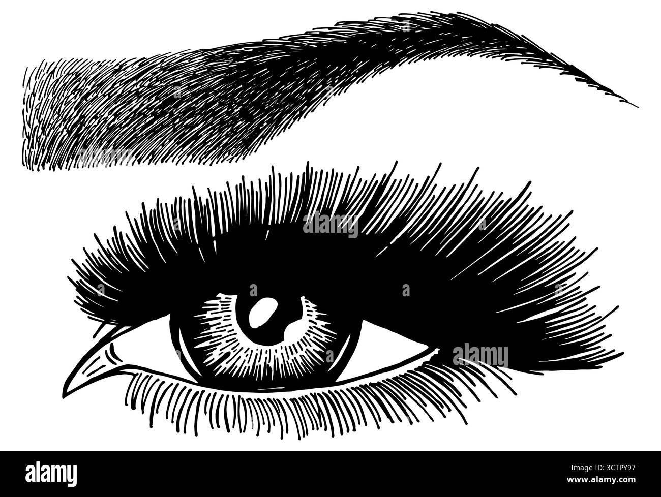 Illustration avec l'oeil de femme, les cils et les sourcils. Maquillage look. Motif tatouage. symbole pour bar à sourcils ou salon de cils. Illustration de Vecteur