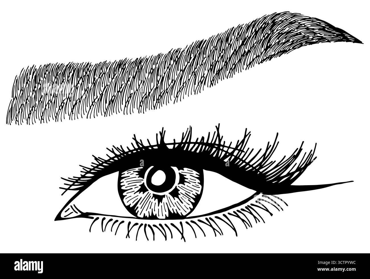 Illustration avec l'oeil de femme, les cils et les sourcils. Maquillage look. Motif tatouage. symbole pour bar à sourcils ou salon de cils. Illustration de Vecteur