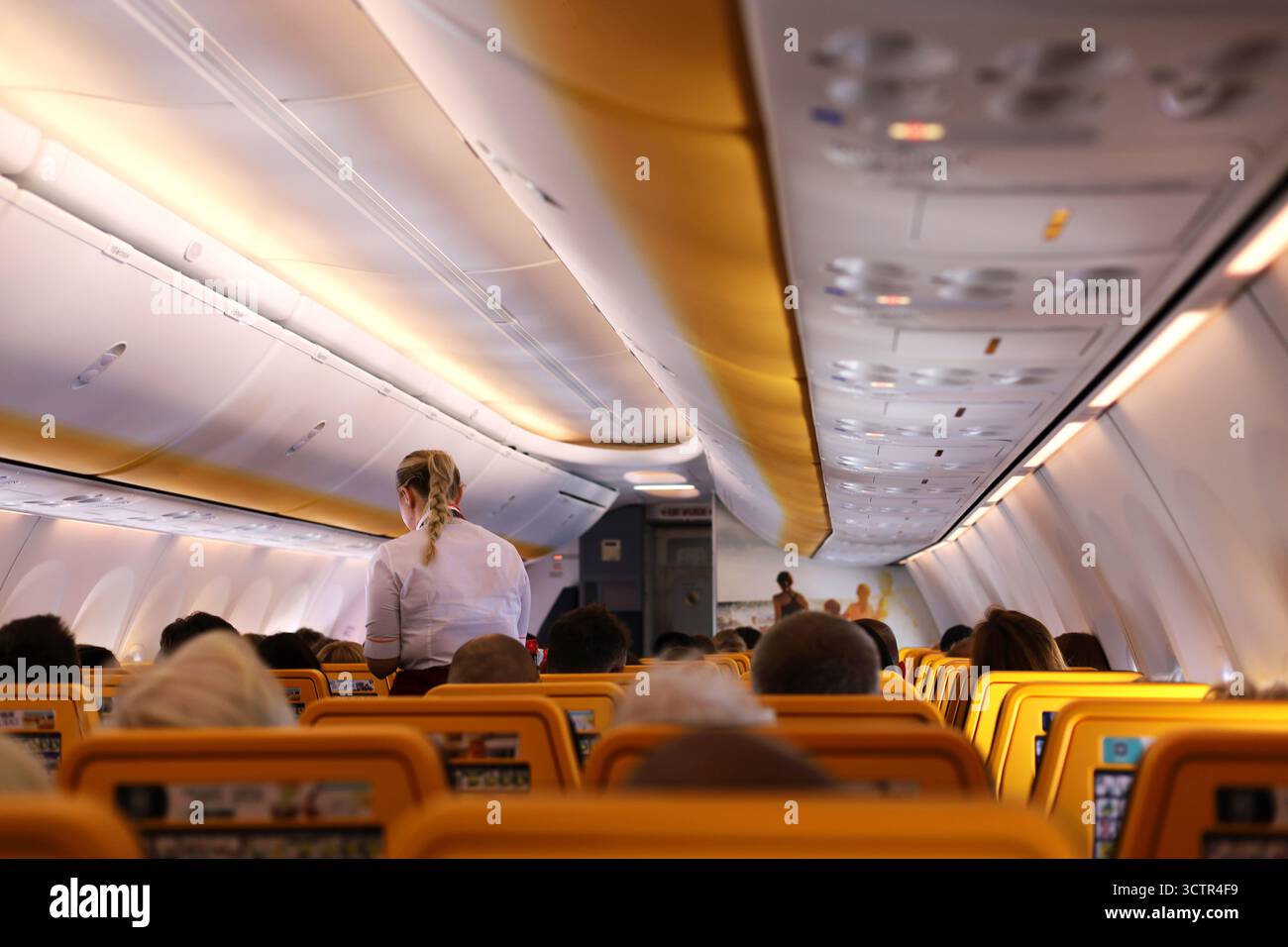Vue de l'intérieur de la cabine de l'avion du point de vue du passager. Élégante hôtesse blonde en chemise blanche assiste les passagers. Banque D'Images