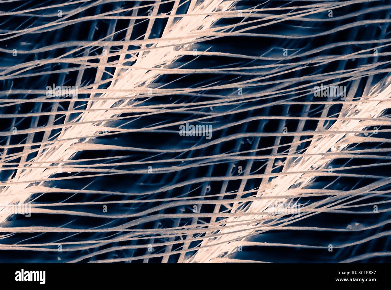 Vue au microscope électronique de plumes d'oiseau à un grossissement de 500x, révélant des barbules complexes et des filaments imbriqués dans des détails étonnants. Banque D'Images