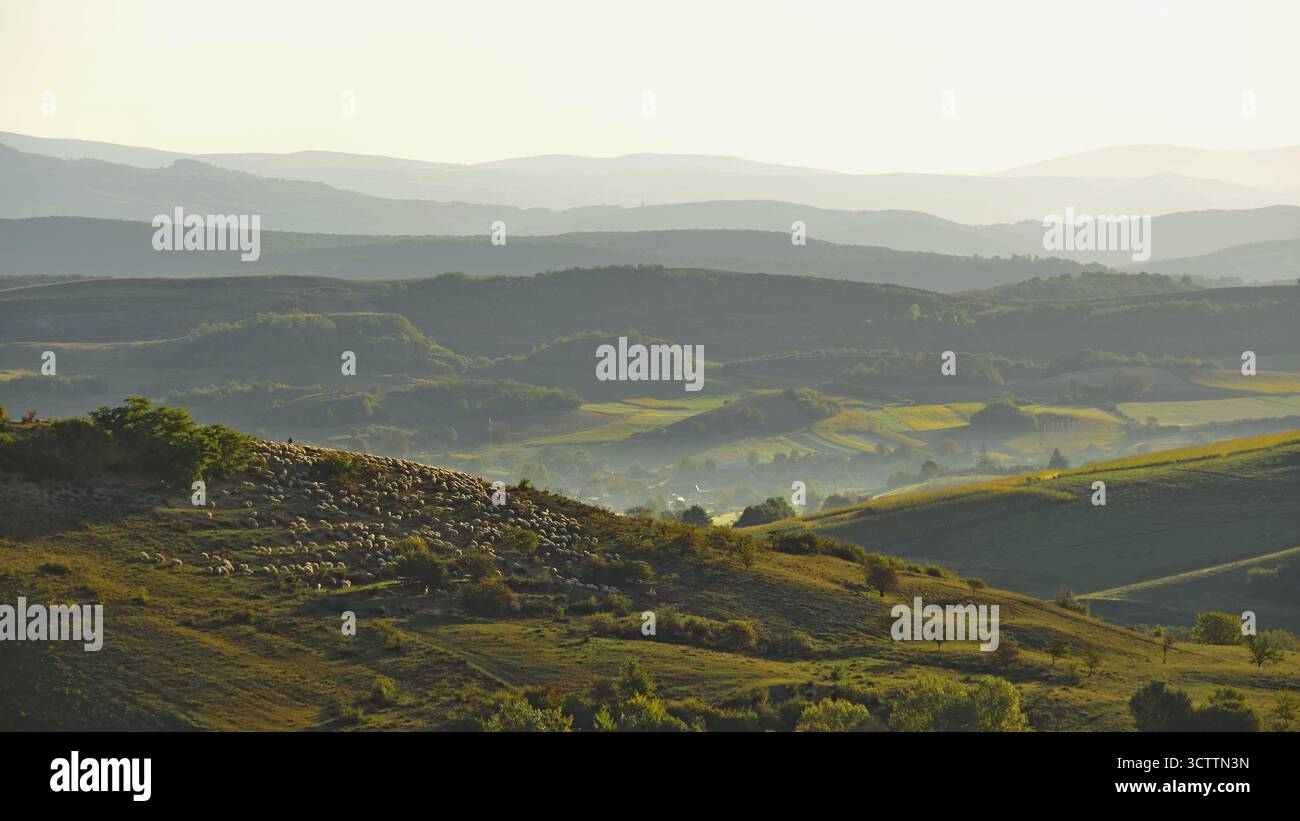 Paysage rural au lever du soleil. Collines de Transylvanie dans les Carpates. Collines ondulantes de Transylvanie dans les montagnes des Carpates au lever du soleil. Banque D'Images