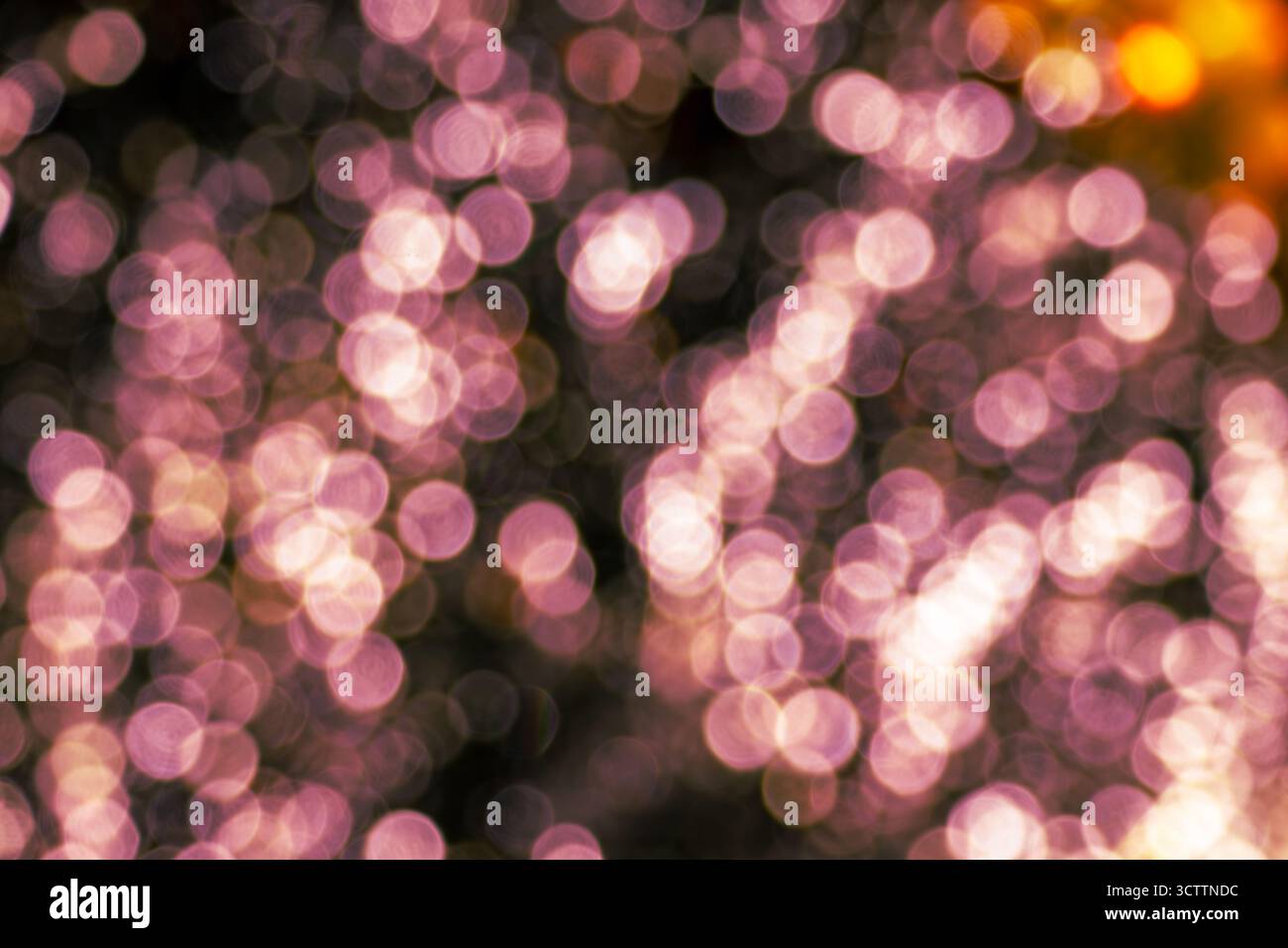 Bokeh rose flou — champ dense de petits orbes lumineux chauds sur fond sombre/noir. Un fond flou riche et abstrait parfait pour les papiers peints Banque D'Images
