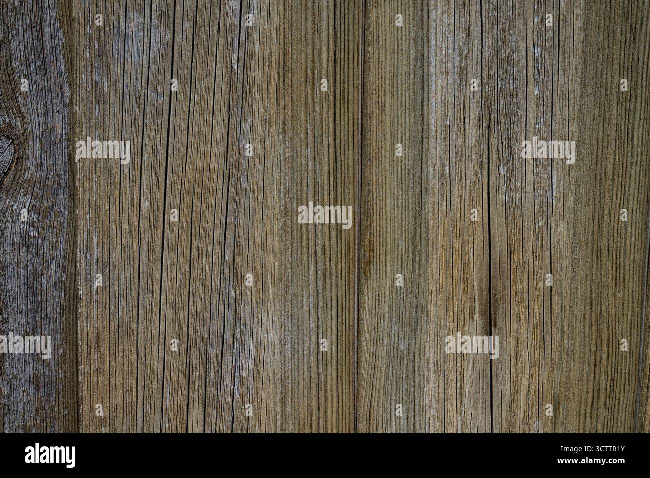 Texture du bois, planches en bois, photo de fond, gros plan, parquet, vieille clôture brûlée photographiée avec un appareil photo Sony a6700 avec un objectif macro de 100 mm Banque D'Images