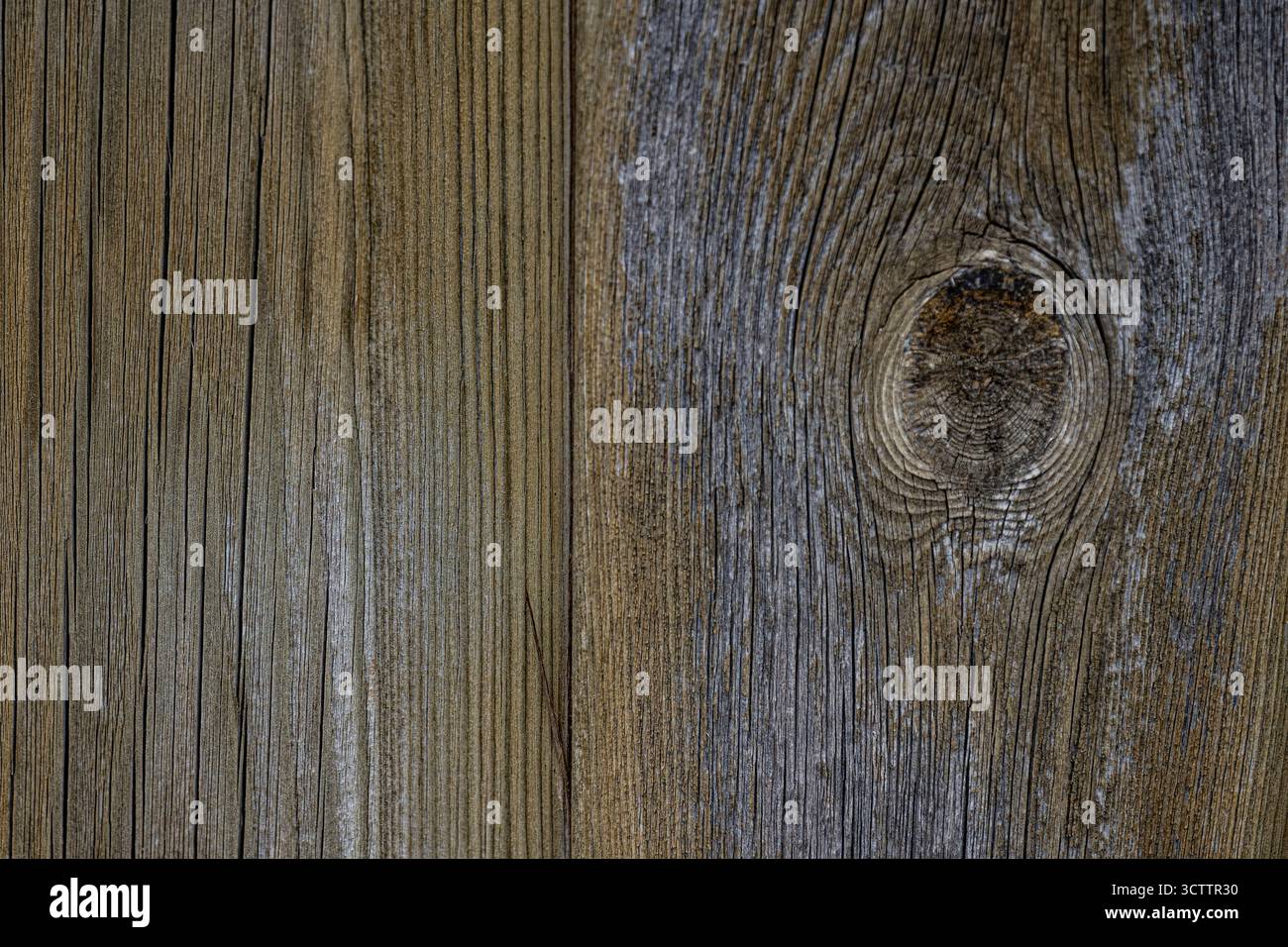 Texture du bois, planches en bois, photo de fond, gros plan, parquet, vieille clôture brûlée photographiée avec un appareil photo Sony a6700 avec un objectif macro de 100 mm Banque D'Images