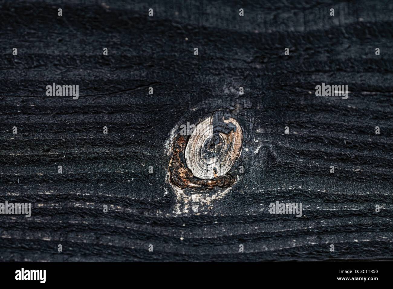 Texture de fond de bois avec des motifs de fond de bois texture noir fond naturel tourné sur un appareil photo Sony a6700 avec une macro de 100mm Banque D'Images