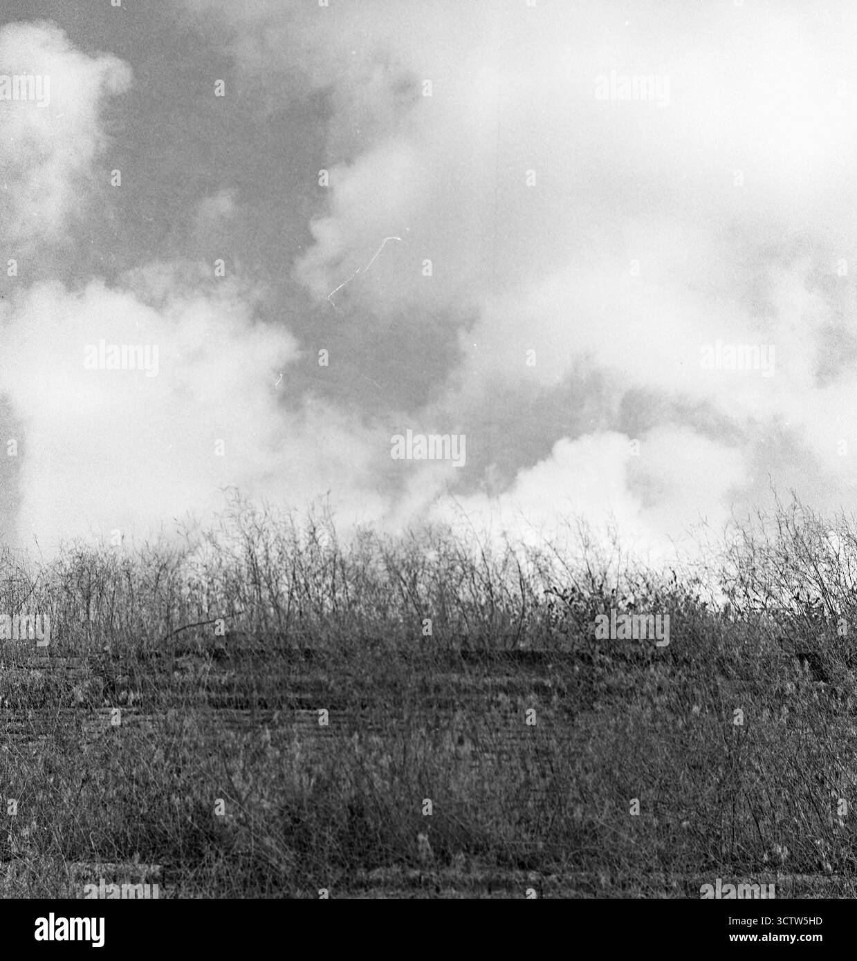Photo de format moyen noir et blanc à faible contraste d'un remblai et d'un ciel nuageux, avec de hautes herbes se déplaçant dans le vent. Film périmé, humeur calme. Banque D'Images