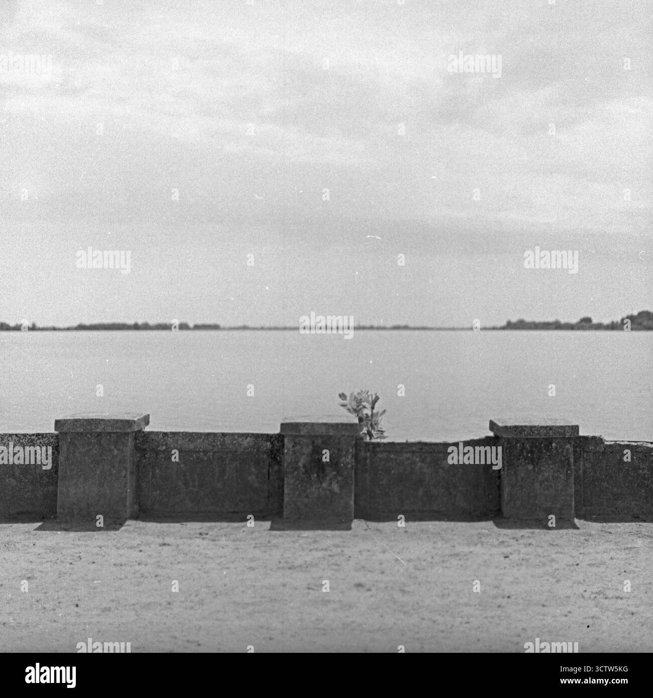 Photo carrée noir et blanc de format moyen d'un mur de béton stylisé près de la promenade du lac Palić. Ciel nuageux, faible contraste, composition semblable à une carte postale. Banque D'Images