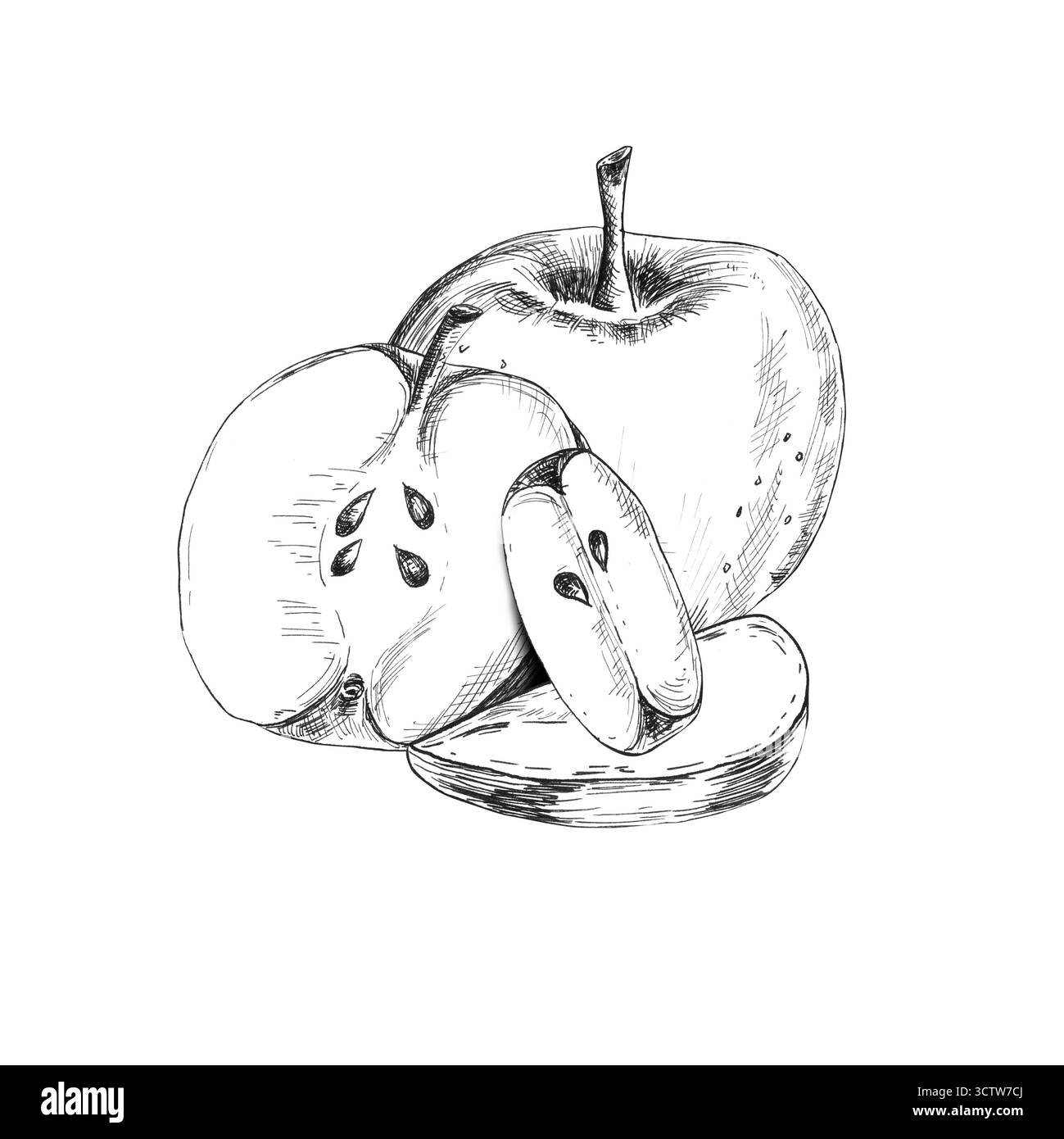 Composition d'art noir et blanc de pomme, pomme coupée en deux et tranches. Clipart de jardin fruitier. Dessin à l'encre monochrome. Illustration dessinée à la main pour fruit pac Banque D'Images Composition d'art noir et blanc de pomme, pomme coupée en deux et tranches. Clipart de jardin fruitier. Dessin à l'encre monochrome. Illustration dessinée à la main pour fruit pac Banque D'Images