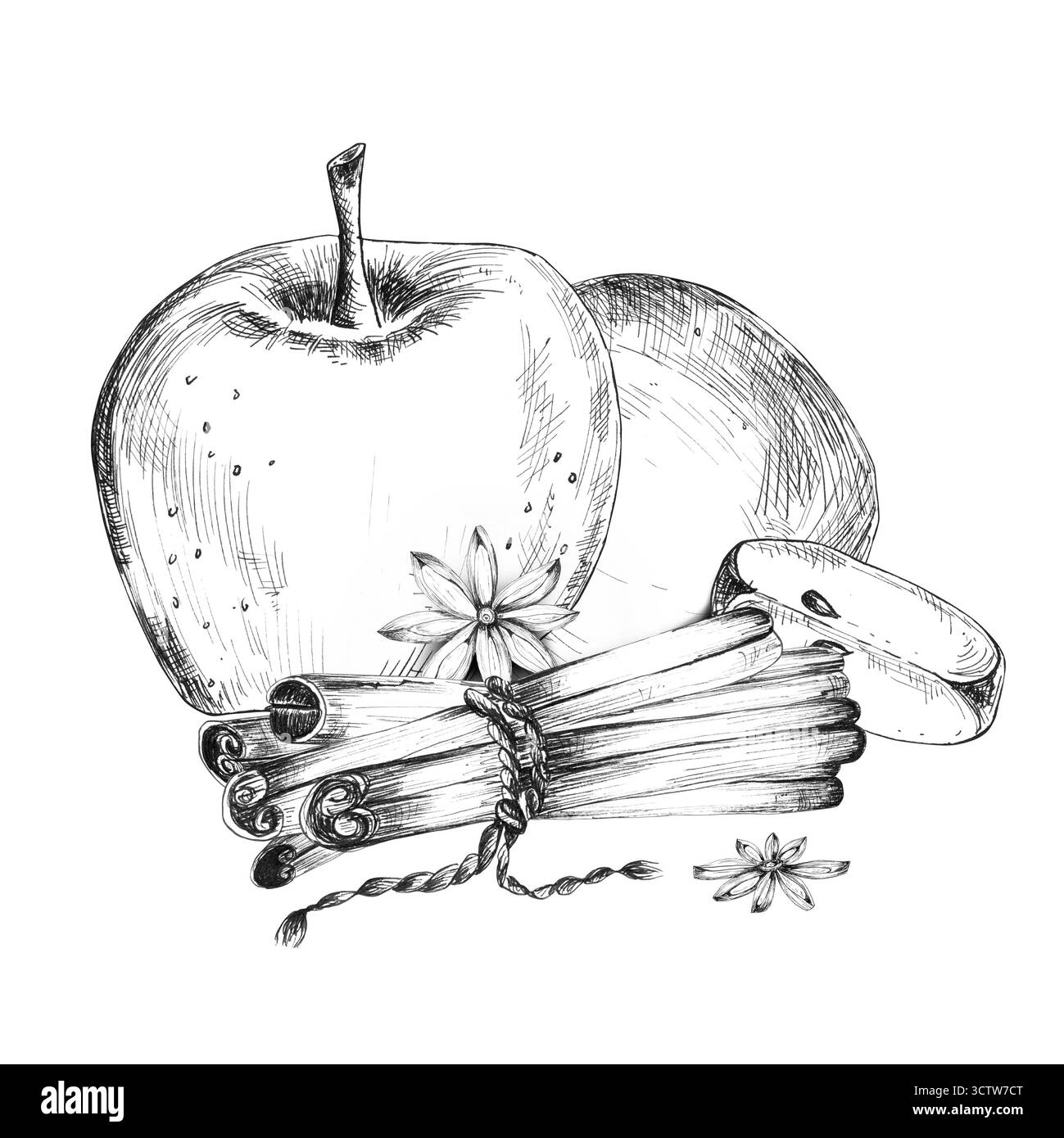 Composition d'art noir et blanc de pomme, tranches, un bouquet de bâtonnets de cannelle et d'anis étoilé. Clipart de fruits et d'épices. Dessin à l'encre monochrome. dr. Banque D'Images Composition d'art noir et blanc de pomme, tranches, un bouquet de bâtonnets de cannelle et d'anis étoilé. Clipart de fruits et d'épices. Dessin à l'encre monochrome. dr. Banque D'Images