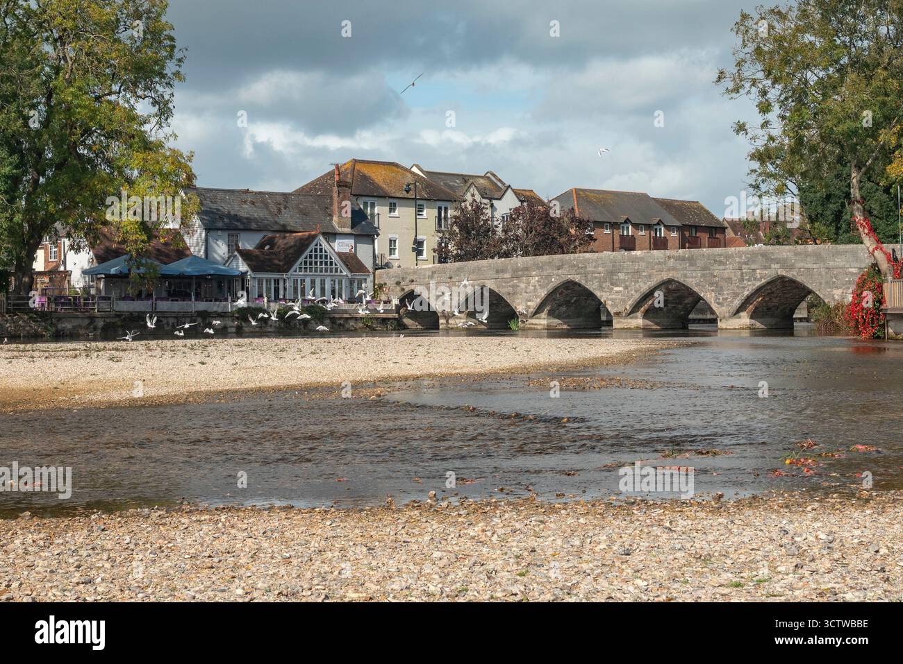 River Avon, Fordingbridge, Hampshire, octobre 2025 Banque D'Images