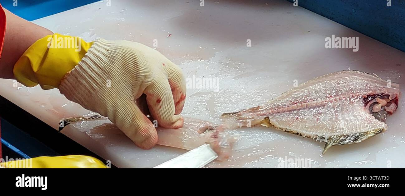 Photographie de poisson frais en cours de préparation dans un marché alimentaire coréen traditionnel, situé dans le centre de la ville de Gyeongju, en Corée du Sud. Ces marchés traditionnels sont des centres dynamiques de commerce et de culture locaux, préservant un sentiment de communauté et de tradition même lorsque les supermarchés modernes prolifèrent, et ils offrent un aperçu du riche patrimoine de villes comme Gyeongju. 2025. Banque D'Images