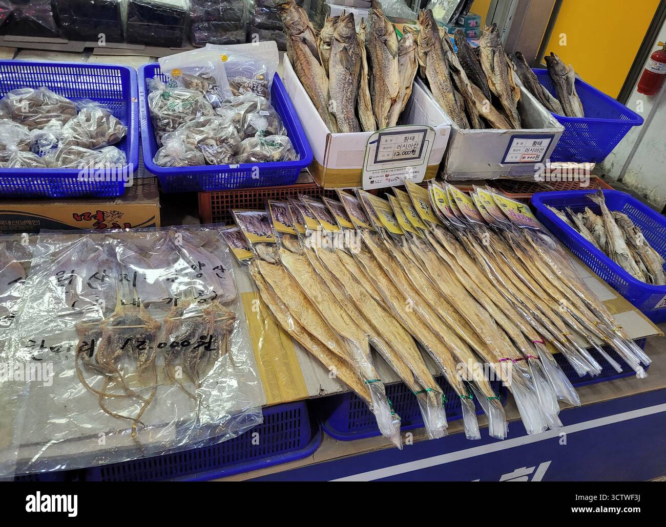 Une photographie de poisson séché dans un marché alimentaire coréen traditionnel, situé dans le centre de la ville de Gyeongju, en Corée du Sud. Ces marchés traditionnels sont des centres dynamiques de commerce et de culture locaux, préservant un sentiment de communauté et de tradition même lorsque les supermarchés modernes prolifèrent, et ils offrent un aperçu du riche patrimoine de villes comme Gyeongju. 2025. Banque D'Images