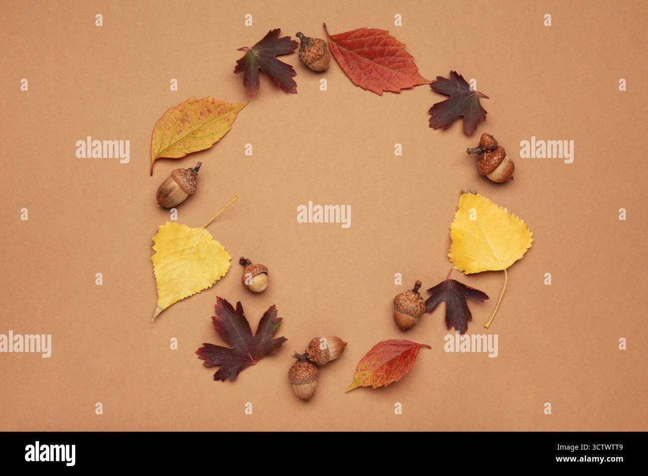 Composition d'automne. Feuilles séchées, gland sur fond brun. Automne, automne, concept de jour de Thanksgiving. Banque D'Images