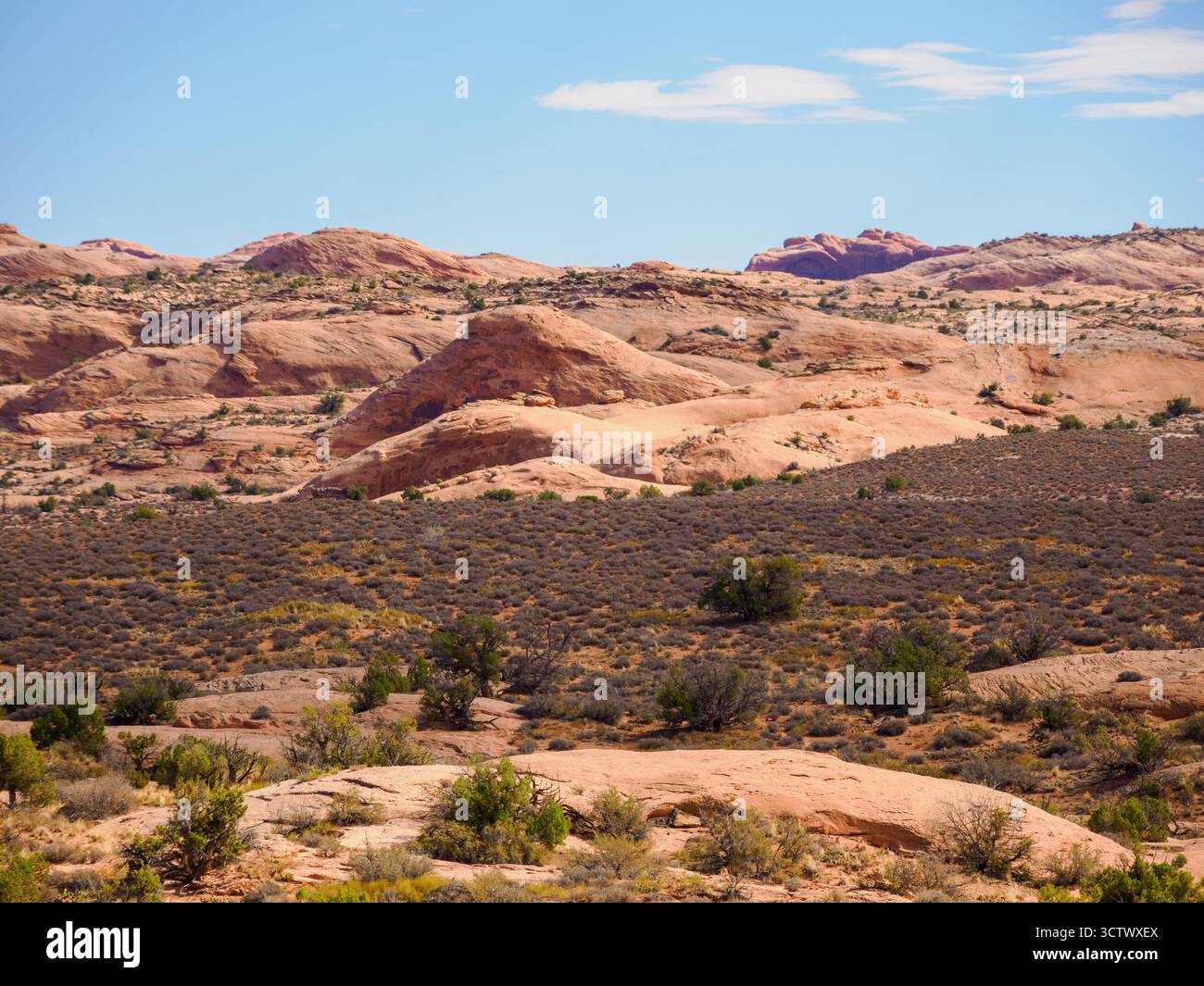Petrified Dunes, parc national d'Arches, Utah, États-Unis Banque D'Images