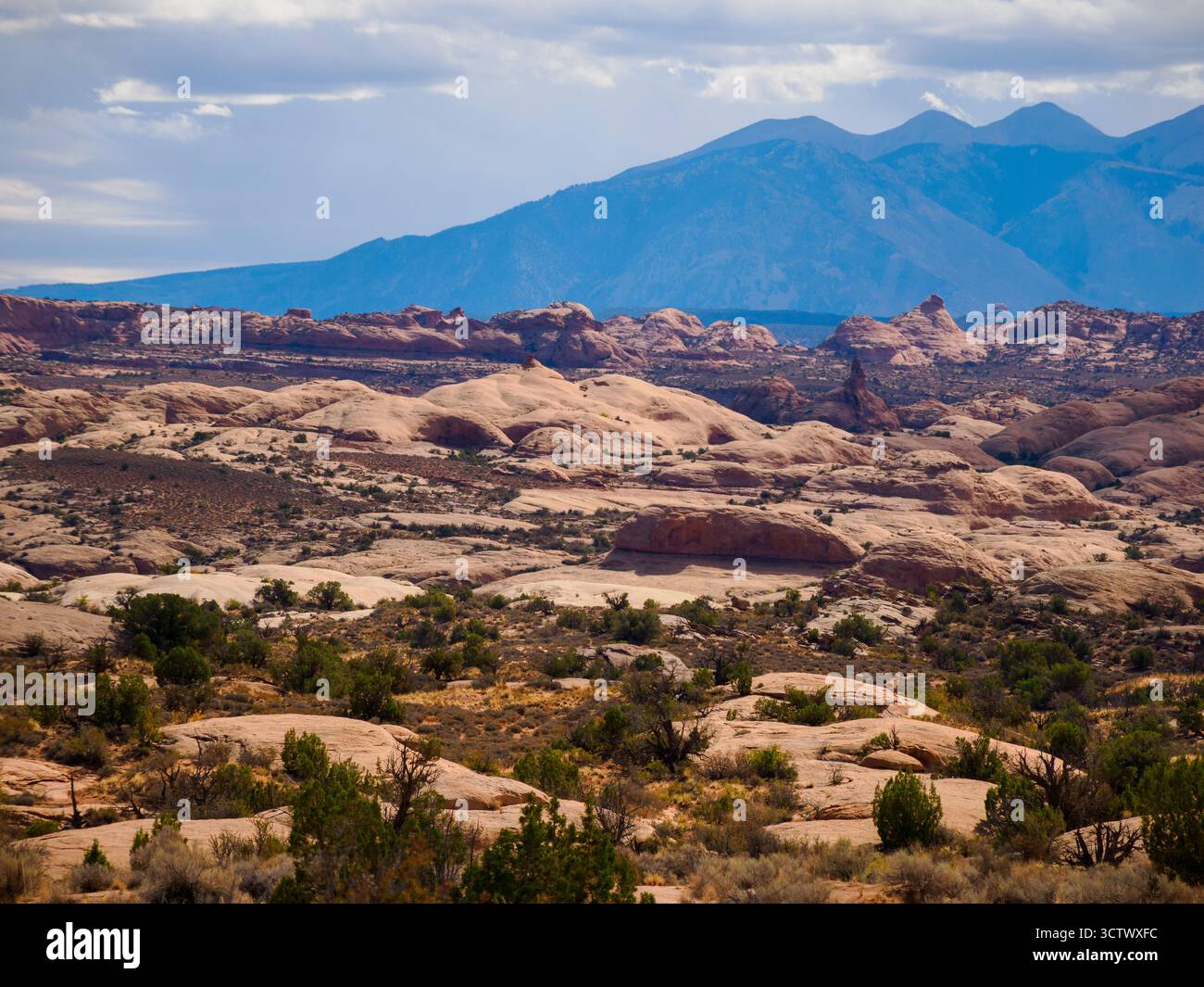 Petrified Dunes, parc national d'Arches, Utah, États-Unis Banque D'Images