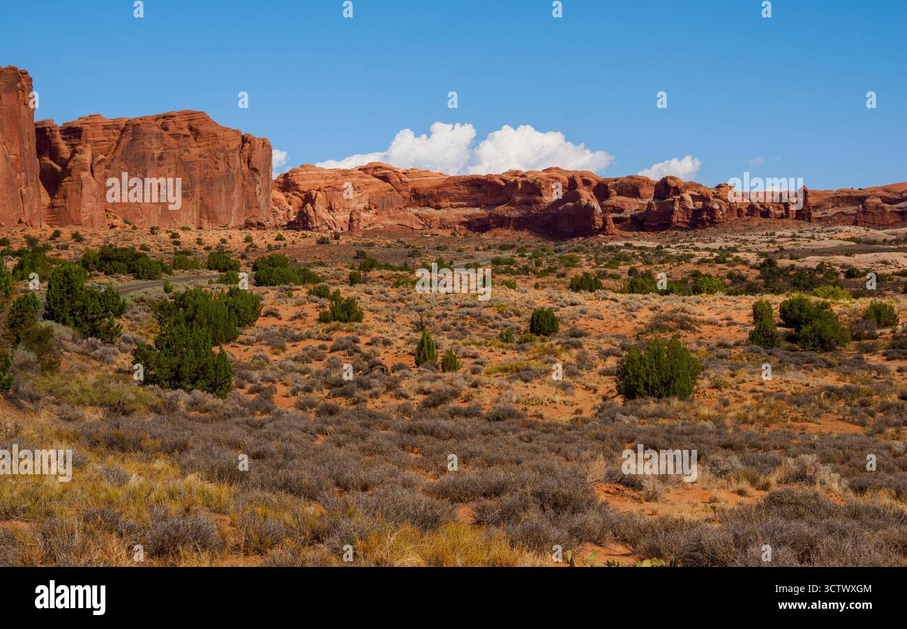 Petrified Dunes, parc national d'Arches, Utah, États-Unis Banque D'Images