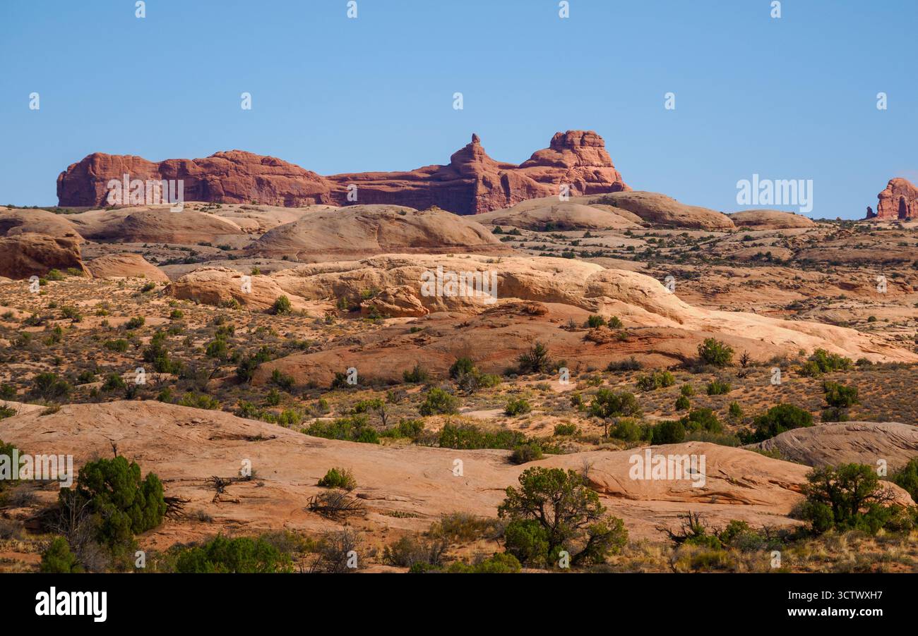 Petrified Dunes, parc national d'Arches, Utah, États-Unis Banque D'Images