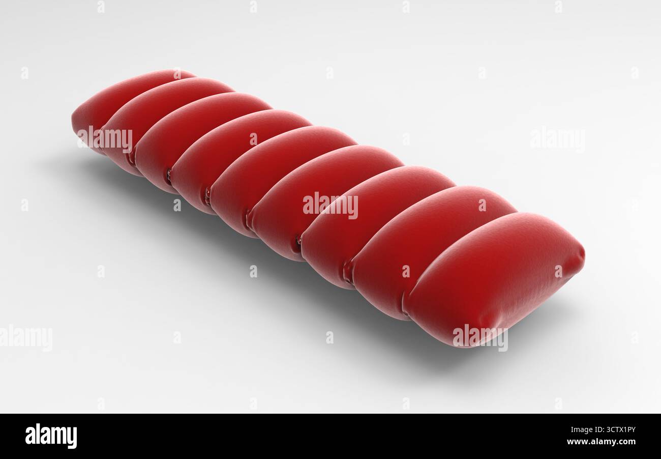 Rendu 3D du matelas d'oreiller gonflable en velours rouge avec texture textile détaillée et design segmenté doux isolé sur blanc Banque D'Images Rendu 3D du matelas d'oreiller gonflable en velours rouge avec texture textile détaillée et design segmenté doux isolé sur blanc Banque D'Images