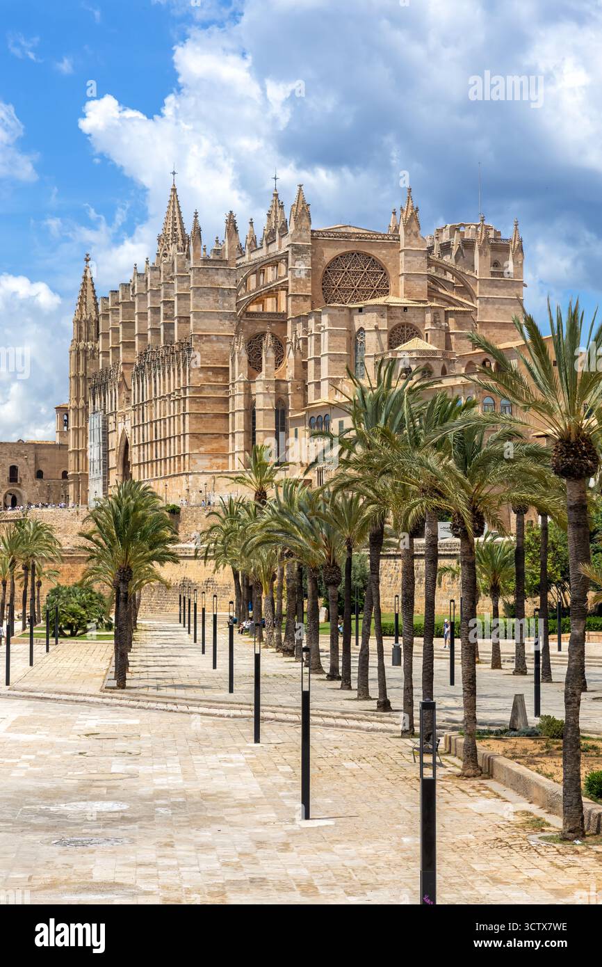Cathédrale église Catedral de Palma de Mallorca la Seu architecture format portrait ville en Espagne Banque D'Images