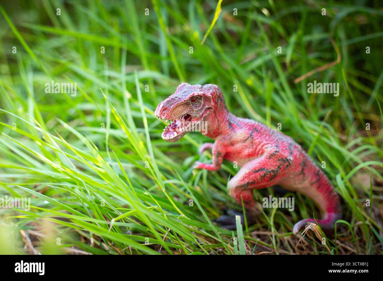 Jouet dinosaure miniature, tyrannosaurus rex, dans un cadre extérieur naturel avec de l'herbe verte. Arrière-plan avec espace de copie. Banque D'Images