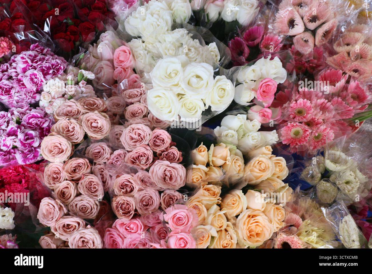 Bouquets colorés de fleurs mélangées (Roses, Gerbera Daisies, œillets) exposés à un marché aux fleurs. Arrangement enveloppé pour la vente ou le cadeau. Banque D'Images