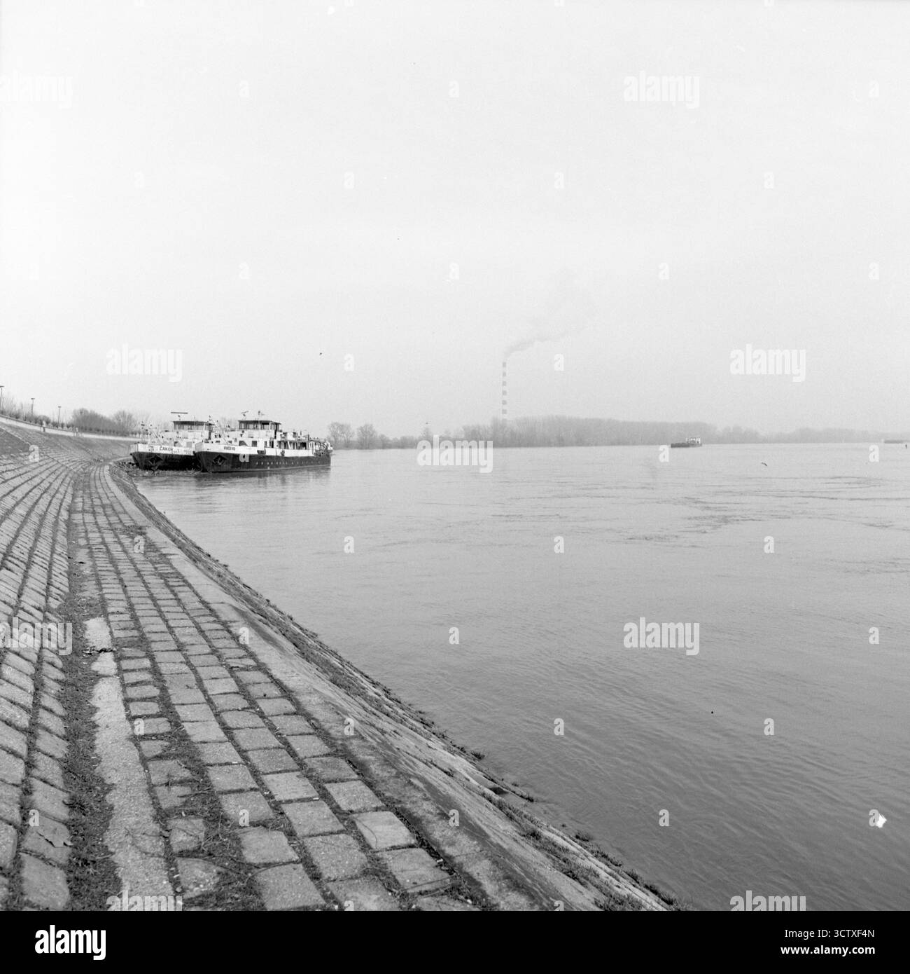 Analog Archive documentaire photo Dairy Banque D'Images