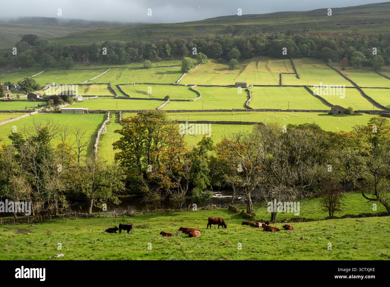 Kettlewell, Upper Wharfedale, North Yorkshire, Angleterre. Banque D'Images