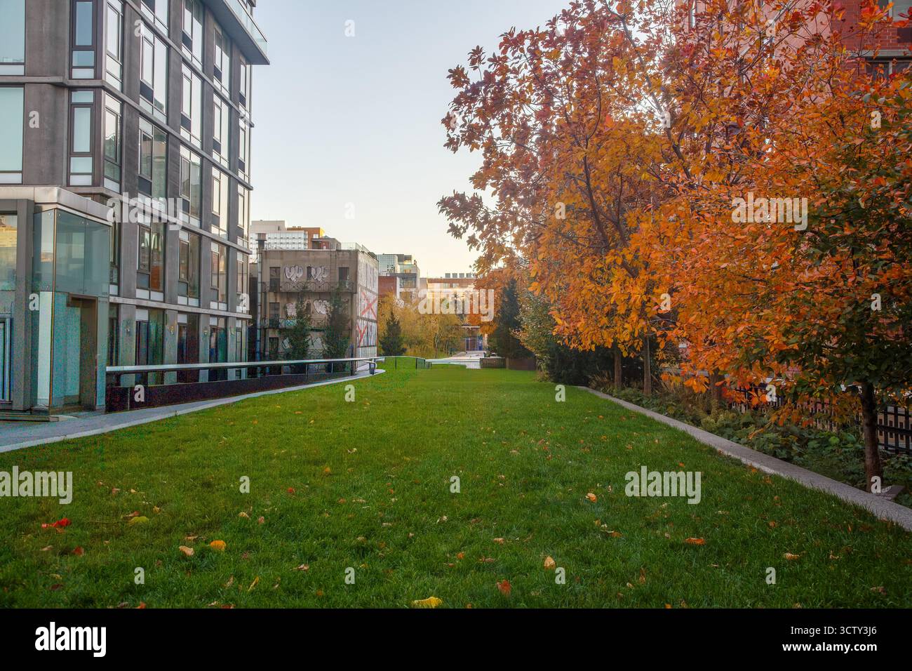 Un jardin et des arbres à feuilles d'automne sur le parc linéaire élevé HJigh Line à Chelsea, Manhattan, New York City, États-Unis Banque D'Images